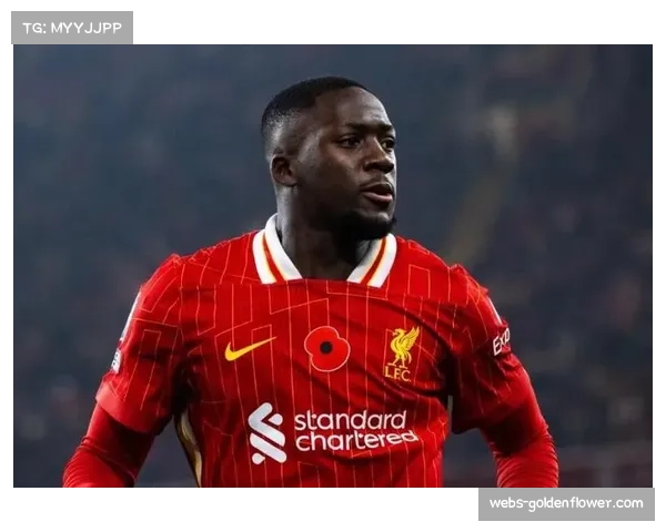 利物浦冬窗瞄准后卫补强,科纳特伤病潮促紧急计划 利物浦冬窗瞄准后卫补强,科纳特伤病潮促紧急计划